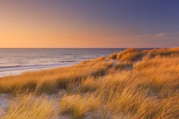 Poster Duinen en strand bij zonsondergang op Texel, Nederland © sara_winter