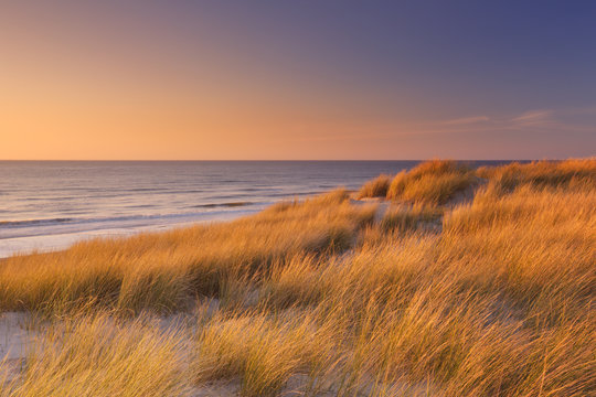 Dunes and beach at sunset on Texel island, The Netherlands