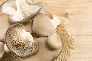 bunch of oyster mushrooms