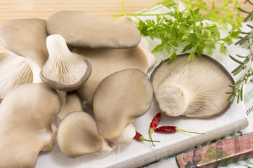 bunch of oyster mushrooms