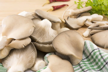 bunch of oyster mushrooms