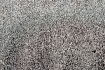 rhino skin © rufar