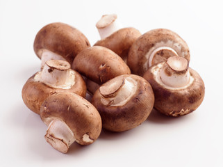 black mushrooms on white background