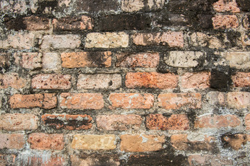 Old brick wall in a background image