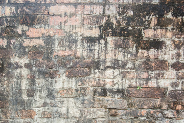 Old brick wall in a background image