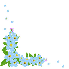 Forget-me- not corner on the wite  background with copy space for your text. Vector illustration