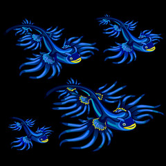 Colorful blue tropical fishes with yellow fins