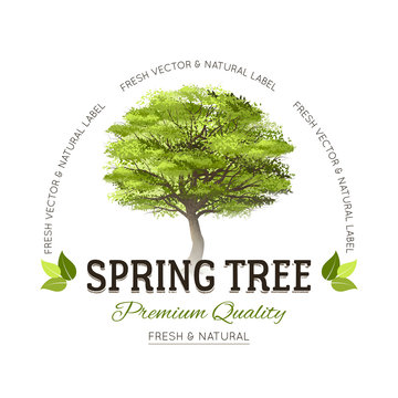 Tree typography logo