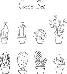 Set cactuses in the pots
