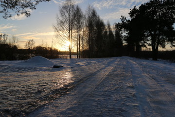 Деревья зимним вечером, освещенные закатным солнцем