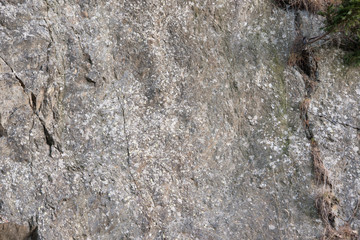 parete rocciosa interessante che essendo rovinata dal tempo e dagli infestanti può essere usata come sfonfo