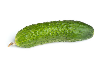 One cucumber