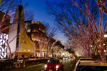 夕暮の表参道とイルミネーション