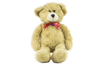 Teddy Bear on a white background