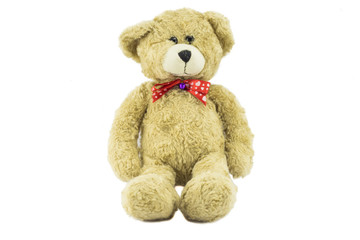 Teddy Bear on a white background