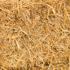 pile of straw
