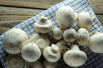 mushrooms on a napkin.