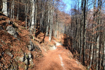 Dolomiti Friulane - paesaggio autunnale