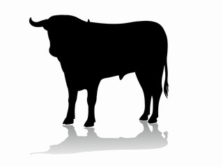 silhouette bull, vector illustration