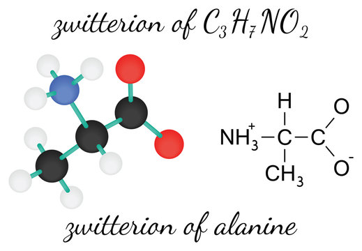 C3H7NO2 zwitterion of alanine amino acid molecule