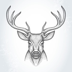 Dotted head of deer with antlers isolated on white background. Cute animal in dotwork style.