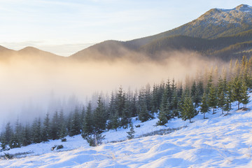 Fog on the mountain