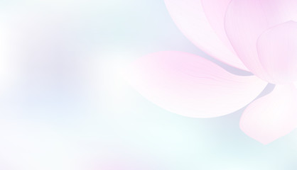sweet pink lotus in soft and blur style for background