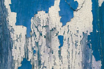 Blue, white paint texture old fence