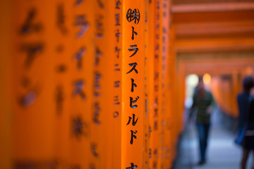 Fushimi Inari, The unique Japanese font written on red color pole or "Torii" at Fushimi Inari Taisha in Kyoto, Japan