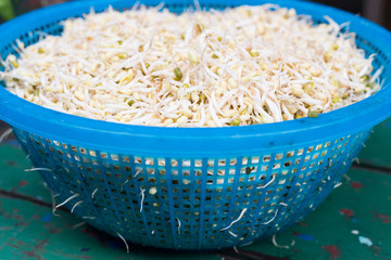 bean sprouts, soybean sprouts