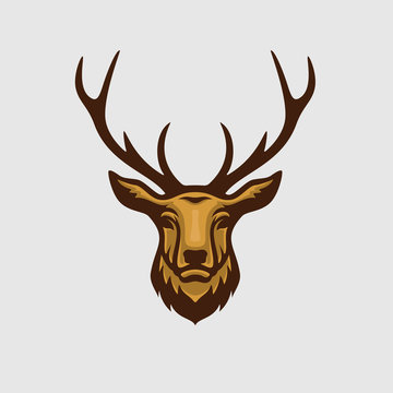 Deer mascot and logo great for sport and team logo