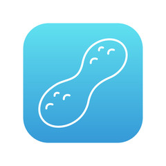 Peanut line icon.