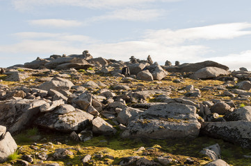 Lofoten islands, Norway / Lofoten is an archipelago and a traditional district in the county of Nordland, Norway.