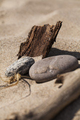 Skarby plaży © Rafal Kucharek