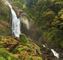 Fototapeta premium Misty Jungle Waterfall