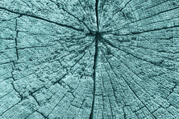 Old Stump, Weathered, Rotten, Cracked, Top Surface, Stained Pale Blue, Vignette, Grunge Texture. 