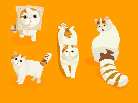 cats. stylized pets set.  Cute tabbi van cat