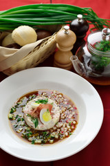 Russian dish okroshka with kvass, egg, parsley, radishes