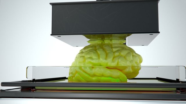 Model of the human brain designed by the computer and printed in the 3d printer.