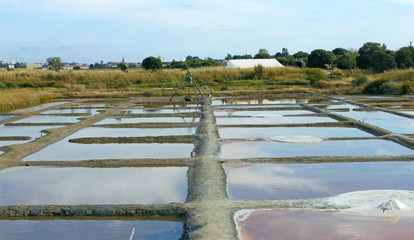 marais salant Vendée