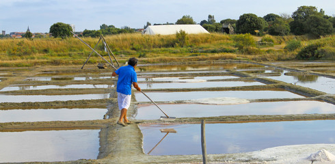 marais salant Vendée