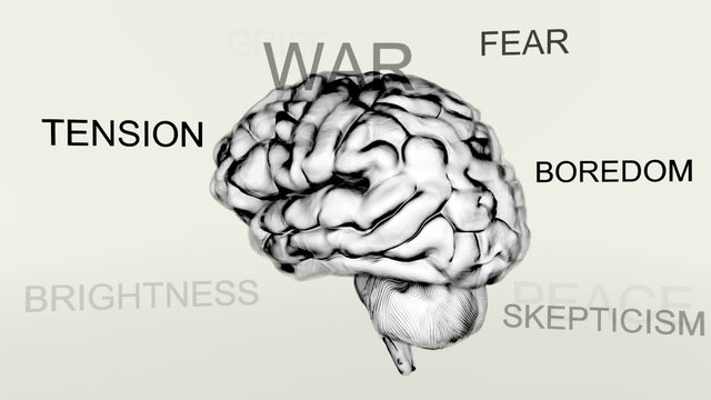 360 degrees view of the human brain with surrounding emotions. Loopable. HD