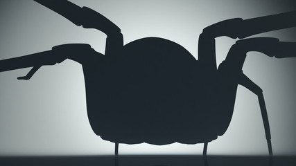 Animation of a scary venomous spider silhouette watching his shadow on the wall.
