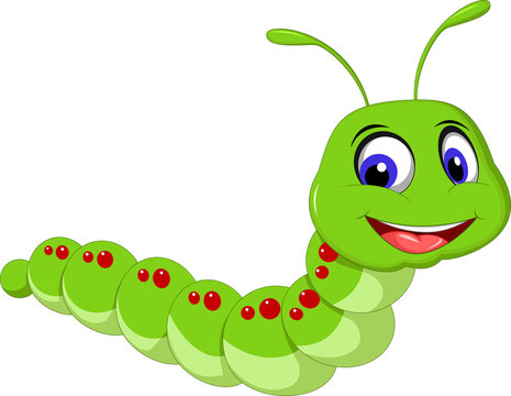 cute caterpillar cartoon Stock Vector | Adobe Stock