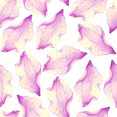 Vectorized watercolor drawing.