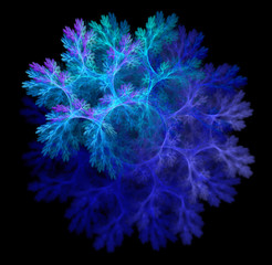 Abstract black background with blue, turquoise fluffy snowflake