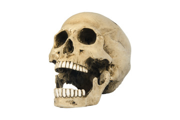 Fototapeta premium skulls on white background