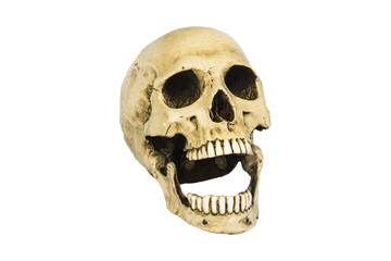 Fototapeta premium skulls on white background