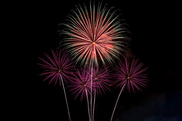 Colorful fireworks.