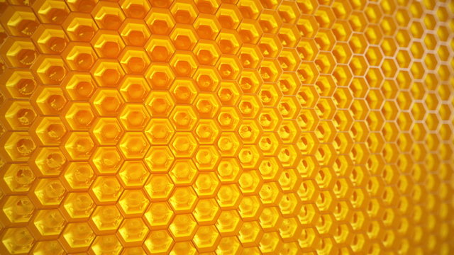 A fragment of the honeycomb with full cells closeup animation. Loopable. HD